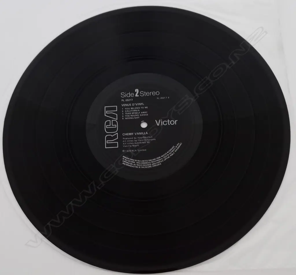 Cherry Vanilla, Venus D'Vinyl Image 1++